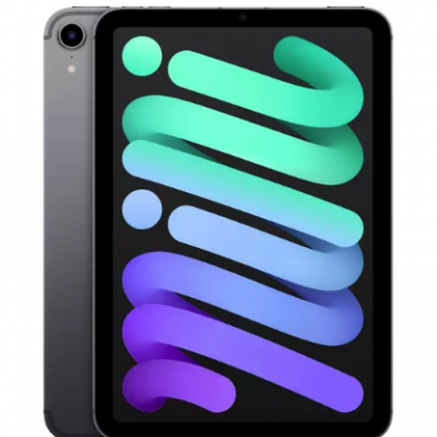APPLE 8.3″ iPad mini Cellular (2021) – 256 GB, Space Grey